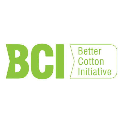 BCI Logo